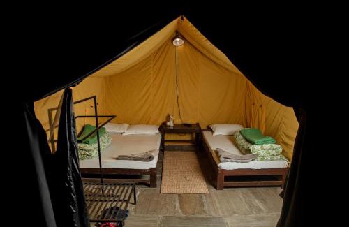 Kodari Other | Family-Friendly Safari Tent at The Last Resort Awaits