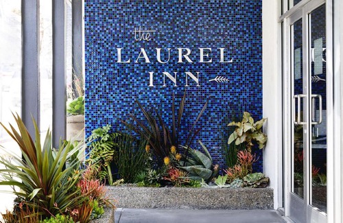 Pacific Heights Hotel | Discover The Laurel Inn: Pet-Friendly Comfort Awaits