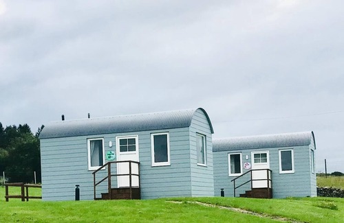 Ballyshannon House | Cozy Lazy Llama Shepherd Hut Farm Stay with Breakfast Included