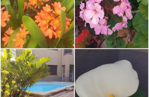Polokwane Bed & Breakfast | Experience The Leopard Tree: Family-Friendly Getaway