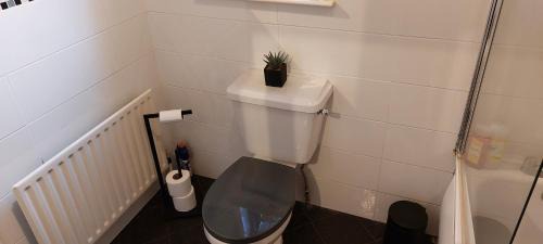 Whitehead Apartment | Child-Friendly Retreat at The Lighthouse Loft - Rated 9.1/10