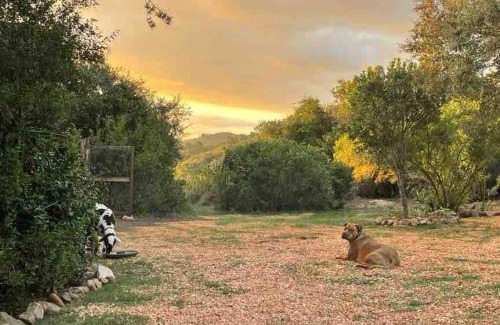 Harkerville Apartment | Pet-Friendly Escape at The Lily Pad - Tiny Farm Cabin