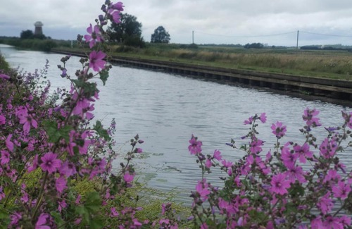 West Somerton Bed & Breakfast | Pet Friendly Stay at The Lion - Rated 9/10 by Guests