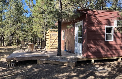 Edgemont Cabin | Cozy Cabin Retreat Near Trails and Family-Friendly Perks
