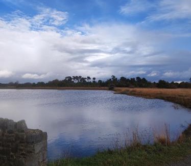 South Tipperary House | Cozy Homestays in Thurles, Ireland with Family-Friendly Amenities