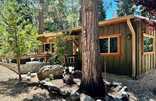 Fern Valley Cabin | Cozy Little Cabin with Kitchen, Breakfast & Pet-Friendly Stay