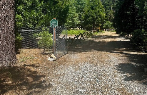 Fern Valley Cabin | Cozy Little Cabin with Kitchen, Breakfast & Pet-Friendly Stay