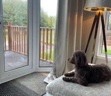 Berwick-upon-Tweed Resort | Guest Rated 10/10: The Lodge at Haggerston Castle Awaits