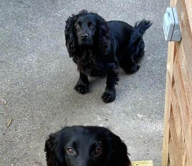 Wrington Apartment | Pet-Friendly Retreat at The Loft at Tanglewood - 9.8/10