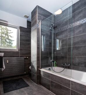 Bridel Apartment | Spacious 1-Bedroom Penthouse in Bridel with Kitchen