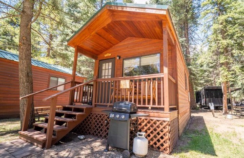 Bayfield House | Cozy Lupine Cabin #10 at Blue Spruce RV Park & Cabins
