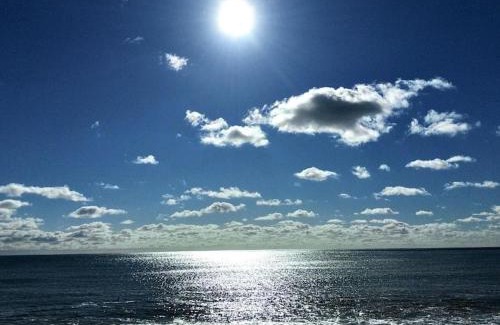Folkestone Apartment | Oceanbreeze: Beachfront Bliss with Ocean Views & Pet Friendly