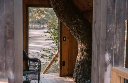 Dripping Springs Cabin | Explore The Machan Treehouse: Guest Rated 9.6 with Spa & Pool