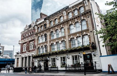 Waterloo Hotel | Experience The Mad Hatter Hotel with Pet-Friendly Amenities
