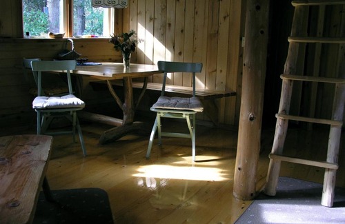 Lund Cabin | Experience The Magical Dome: 10/10 Rated & Pet Friendly