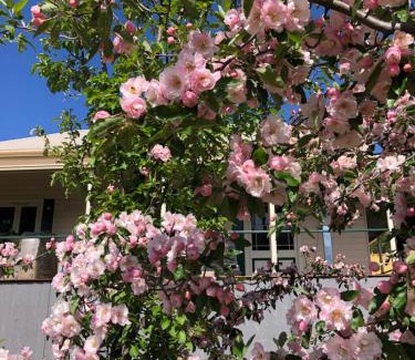 Omeo Bed & Breakfast | The Manse Omeo