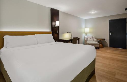 Lake Charles Hotel | Discover The Marco Hotel Lake Charles: Family-Friendly Retreat