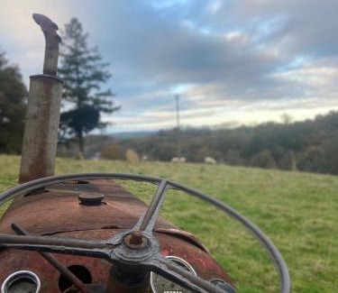 Morwellham Other | Family-Friendly Megabus Hotel Near Tavistock & Dartmoor