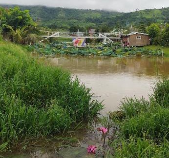 Khao Kho Hotel | Memorize Resort: Pet-Friendly Getaway for Families