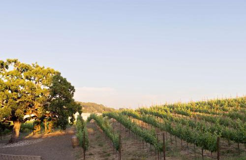Napa Resort | Experience The Meritage Resort and Spa with Pool & Spa
