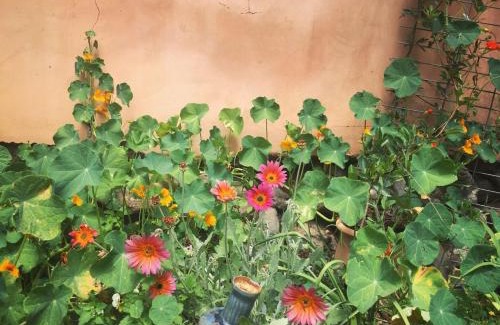 Kfar Hoshen House | Experience the Meshushe: Pet-Friendly with Hot Tub Access