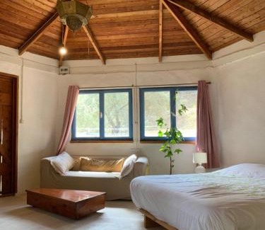 Kfar Hoshen House | Experience the Meshushe: Pet-Friendly with Hot Tub Access