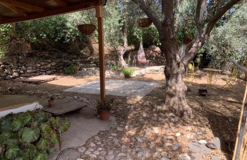 Kfar Hoshen House | Experience the Meshushe: Pet-Friendly with Hot Tub Access