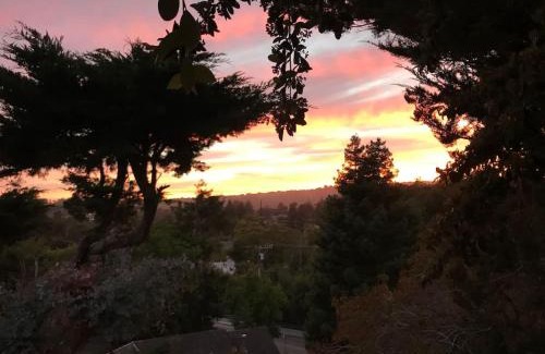 Bananna Belt House | Midtown Cottage: Private Entrance & Scenic Views Await