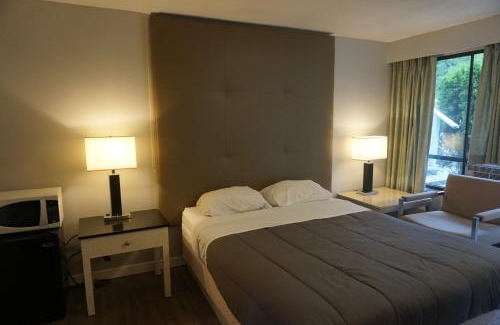 Boston Bar Hotel | Discover The Mighty Fraser Motel: Pet-Friendly Retreat