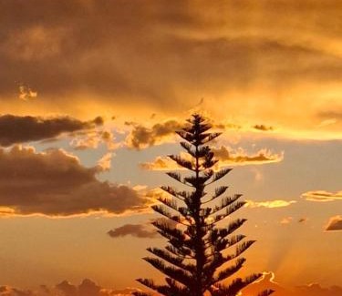 Brenton-on-Sea Apartment | Exceptional Stays at The Monkey Puzzle with Ocean Views