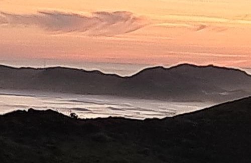 Brenton-on-Sea Apartment | Exceptional Stays at The Monkey Puzzle with Ocean Views