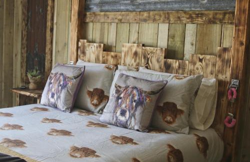 Felinfach Hotel | Experience The Moo-tel at Bargoed Farm: Pet-Friendly Retreat
