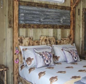 Felinfach Hotel | Experience The Moo-tel at Bargoed Farm: Pet-Friendly Retreat