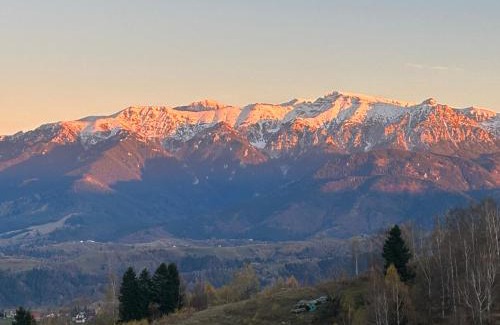 Pestera House | Exceptional Stay at The Mountain View - Guest Rated 9.6/10