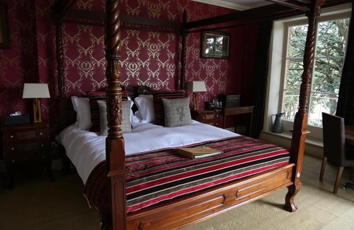East Woodyates Hotel | Experience Comfort at The Museum Inn: Pet-Friendly Stay