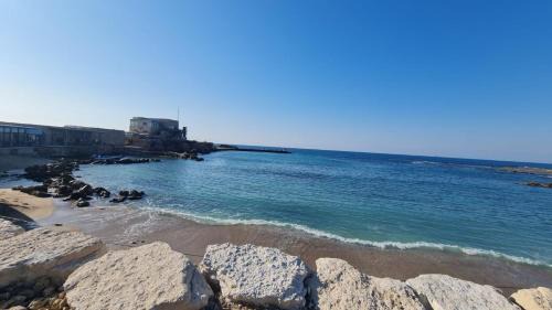 Caesarea Apartment | Discover the MUSIC Suite at Neot Golf Caesarea: Oceanfront Escape