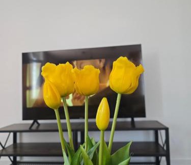 Timisoara Apartment | The Mustard Loft