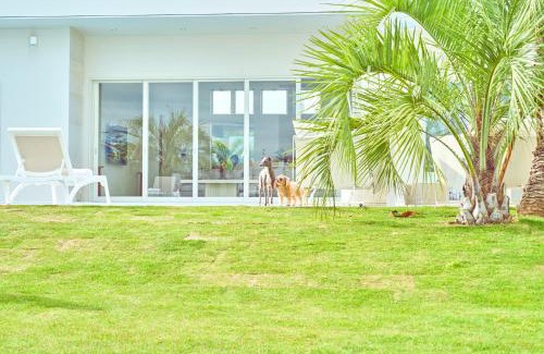 Ichinomiya House | THE NALU 愛犬と泊まれるvilla 温水プール サウナ BBQ ドッグラン 海まで徒歩5分 千葉 一宮 ザ ナルー