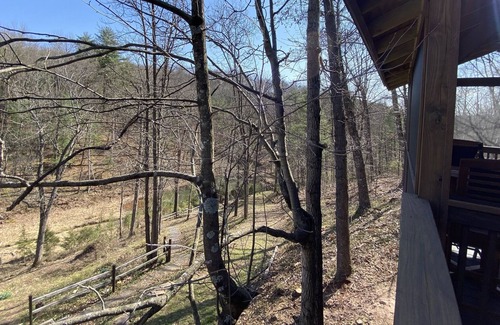 Mount Jackson Cabin | The Nest - Cozy and Peaceful Mountain Retreat