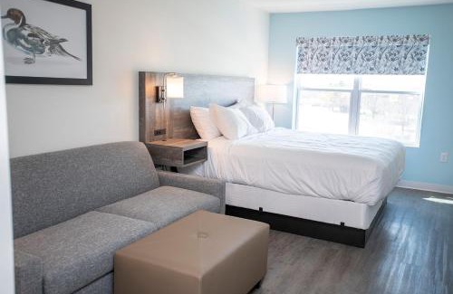 Greenfield Hotel | Pet-Friendly Retreat at The Nest - Rated 8.5/10