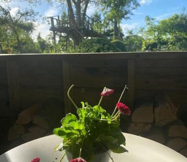 Ashford House | Idyllic Retreat at The Nutshell: Oceanfront & Pet Friendly