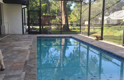 Oakland Apartment | Discover Oak View Place: Pet-Friendly Retreat with Pool