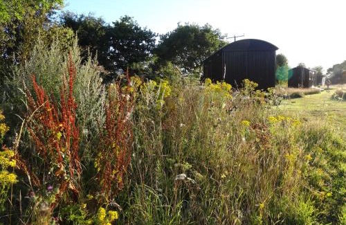 Colkirk Other | Top-Rated Pips Cabin at The Oaks Glamping Experience