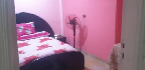 Ain Schams House | The Oasis near Cairo International Airport