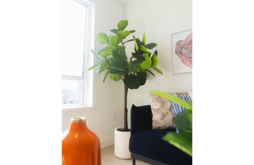 Langley Condo | The Oasis Suite