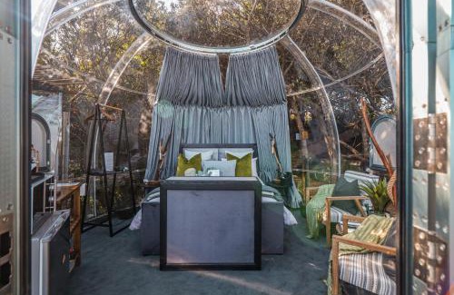 Storms River Other | Remarkable Stays at The Dome - Misty Mountain Reserve