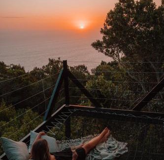 Storms River Other | Remarkable Stays at The Dome - Misty Mountain Reserve