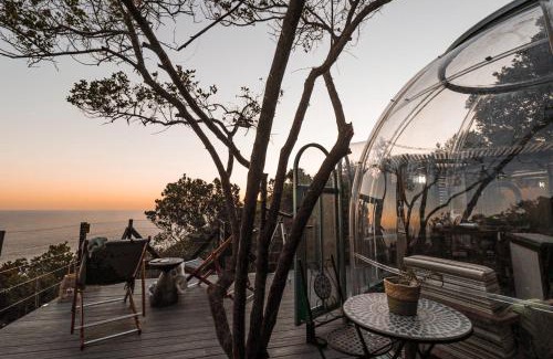 Storms River Other | Remarkable Stays at The Dome - Misty Mountain Reserve
