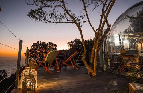Storms River Other | Remarkable Stays at The Dome - Misty Mountain Reserve