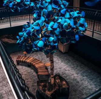 Timmendorfer Strand Hotel | Pet-Friendly Getaway at The Oceans - Guest Rated 8/10